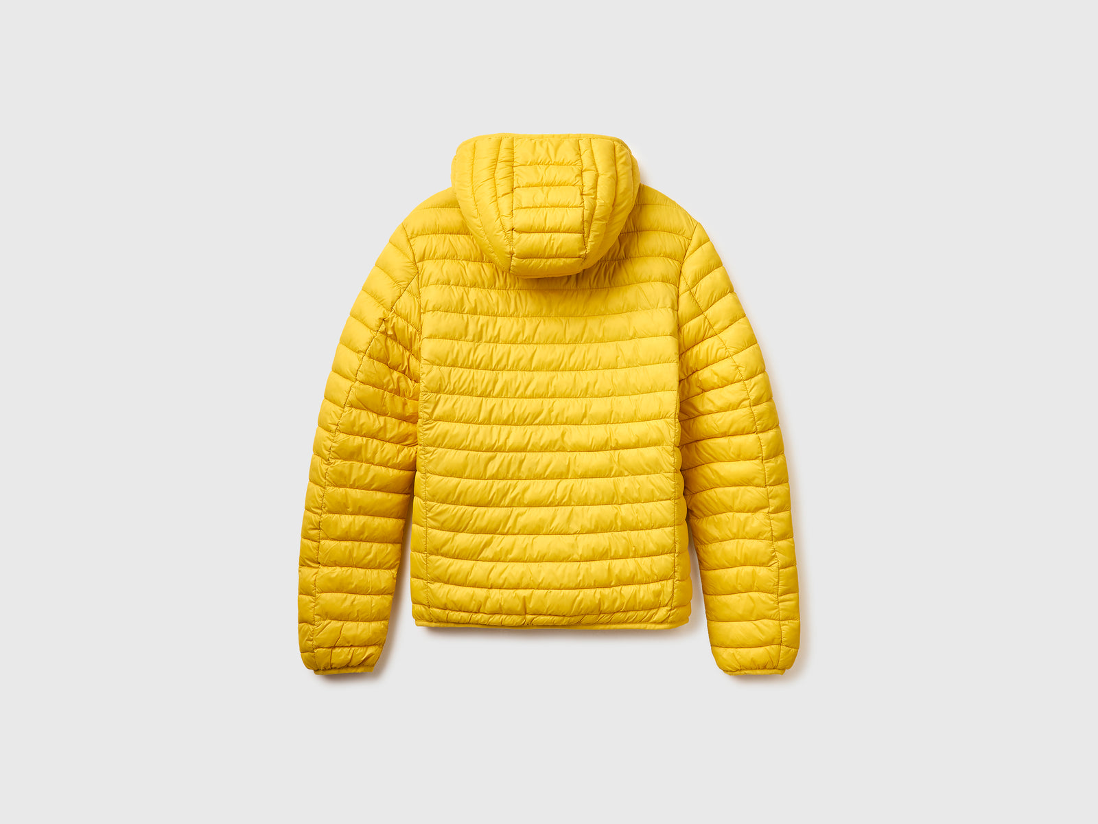 Regular fit padded down jacket - ucb_image_BS