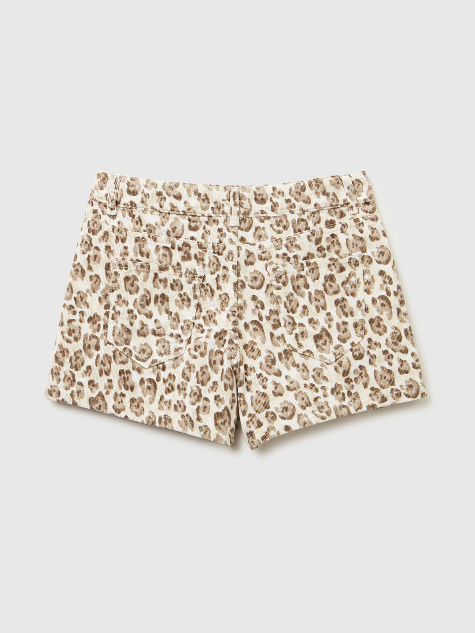 Minissaia animalier - ucb_image_BS