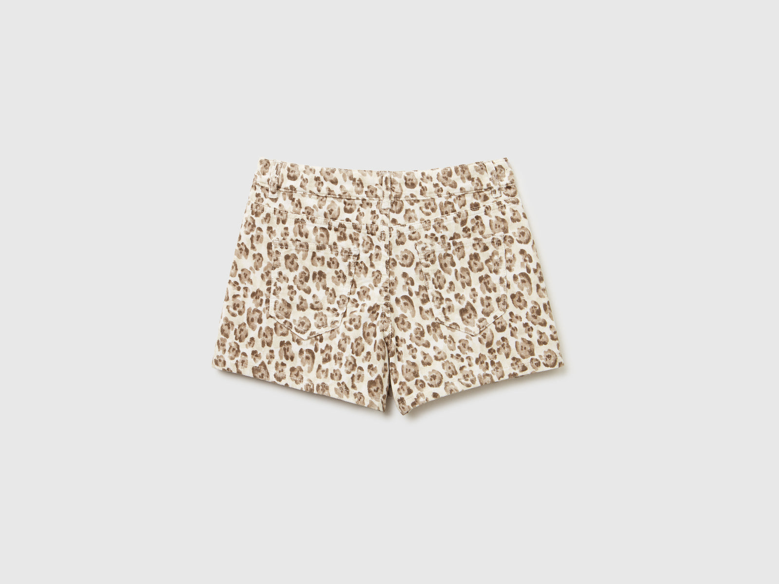 Minissaia animalier - ucb_image_BS