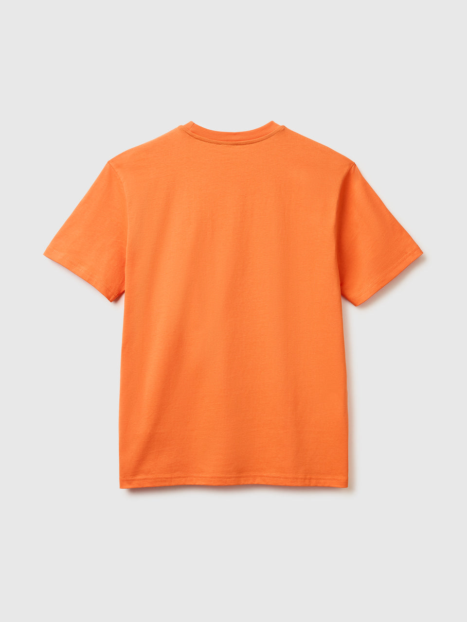Organic cotton t-shirt - ucb_image_BS