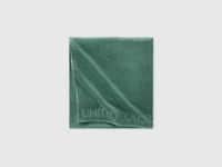 Green beach towel - ucb_image_DS1