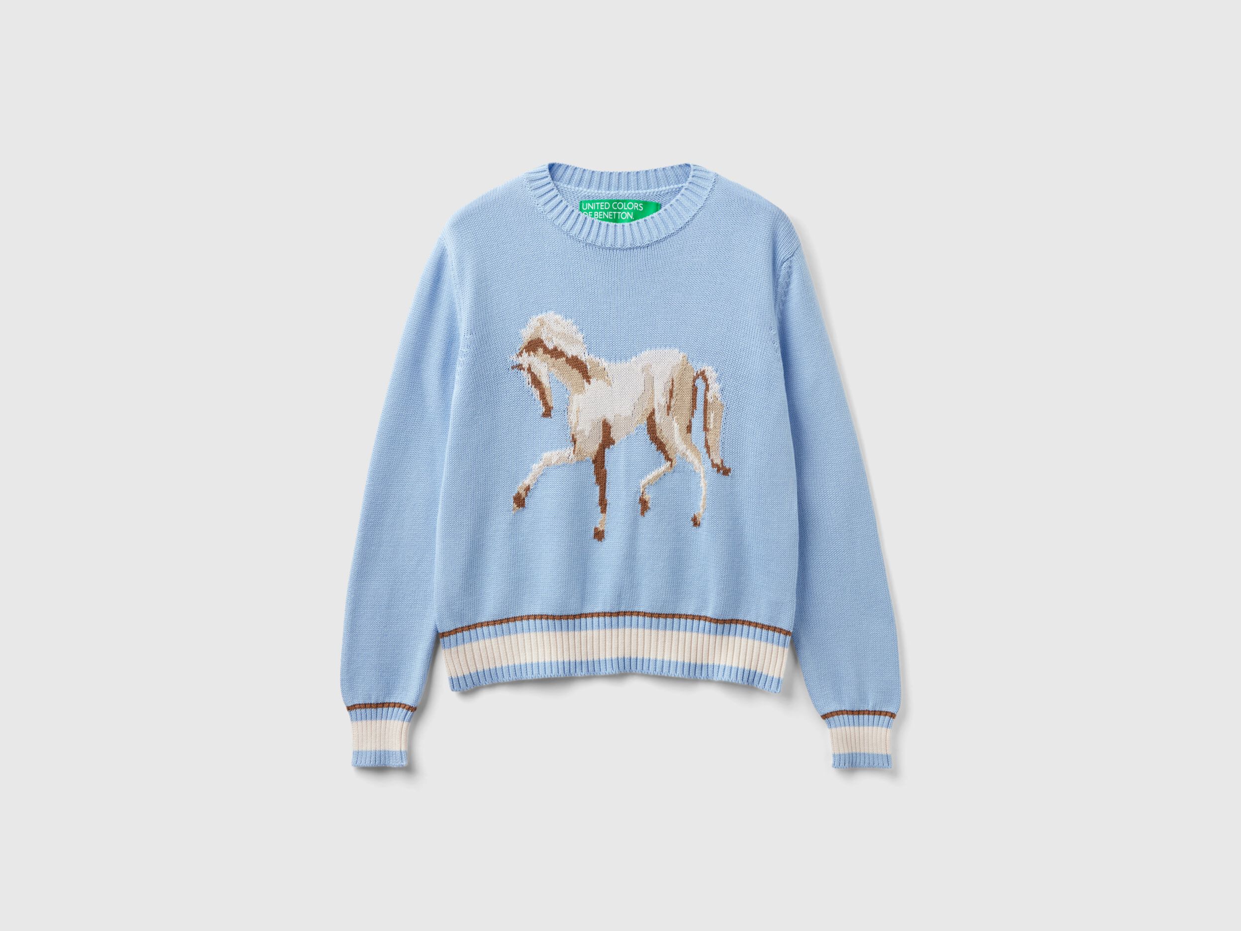 Sweater with horse inlay Sky Blue Benetton