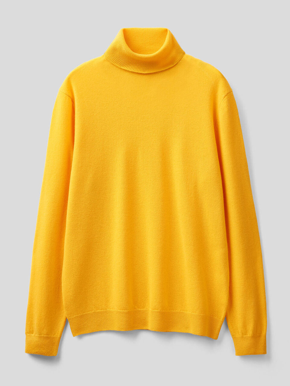 Turtleneck in pure Merino wool image number 1