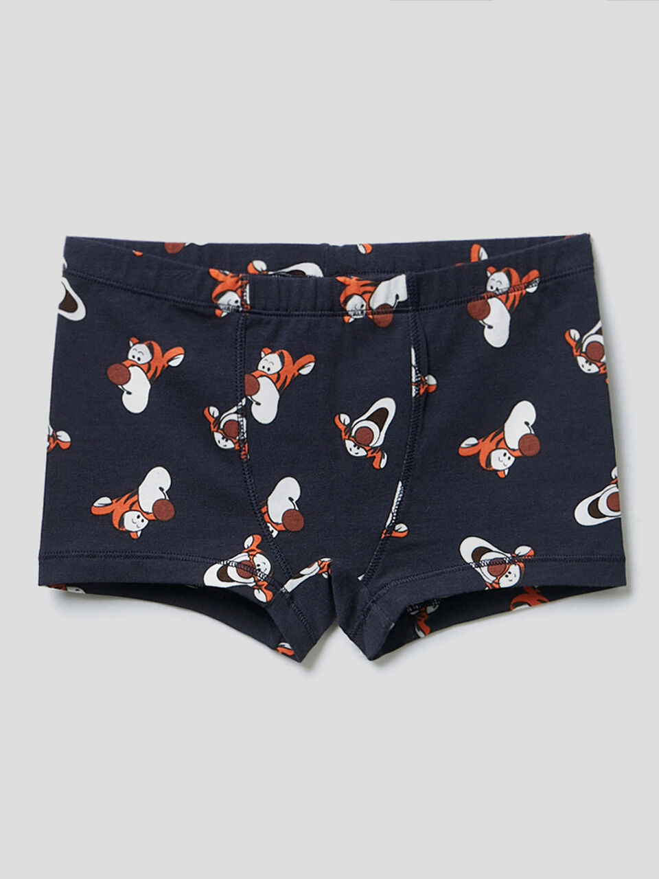 Boxer Tigrou & Friends image number 1