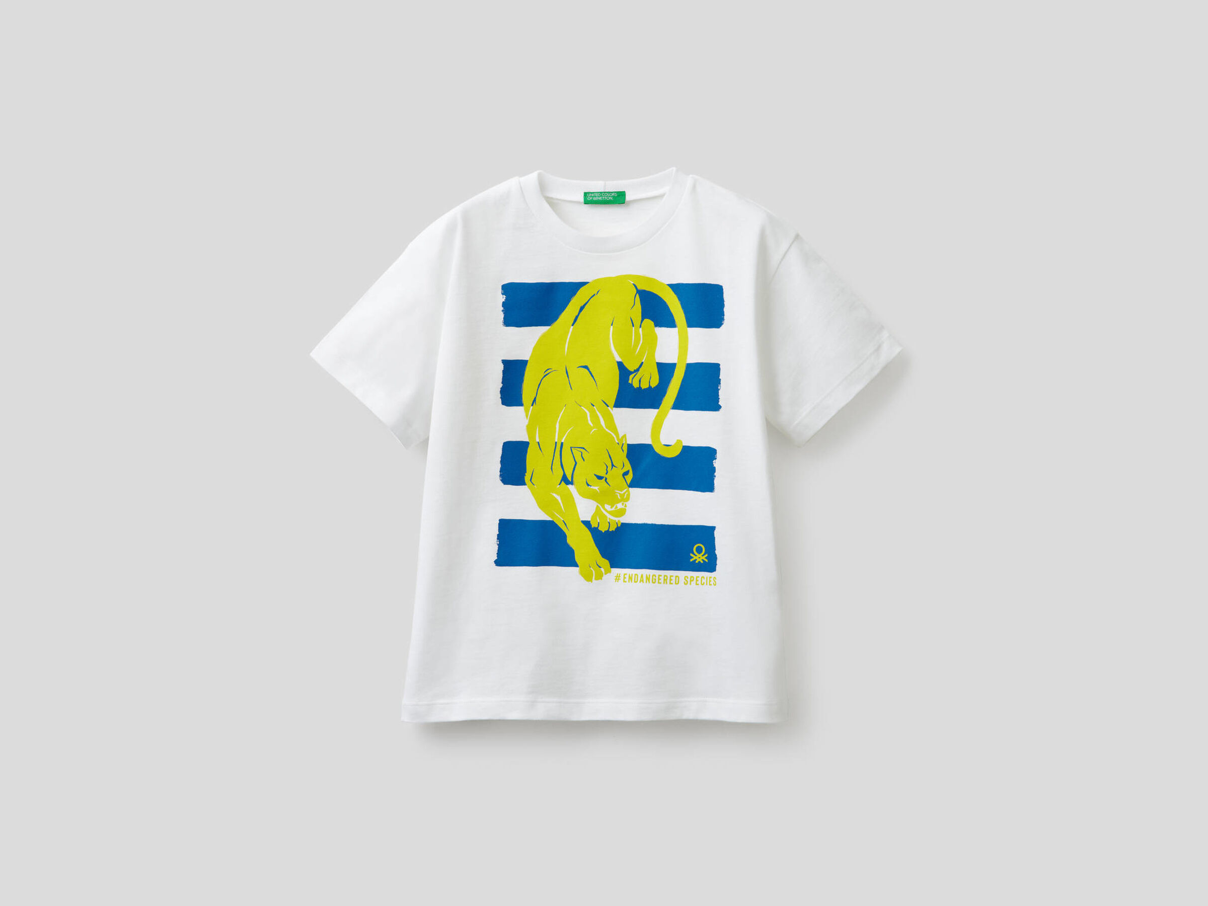 T-Shirt aus reiner Baumwolle mit Print image number null