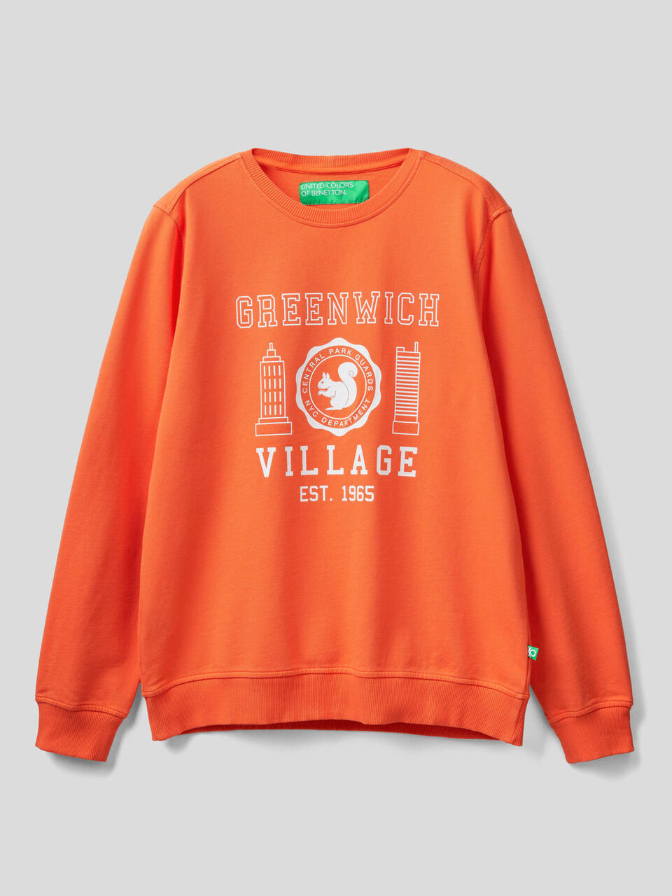 Sweatshirt in 100% organic cotton with print image number 1