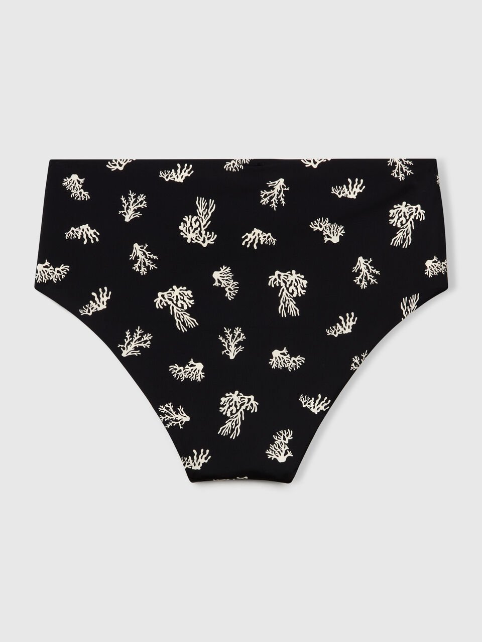SWIMMING BRIEFS Damen image number 2