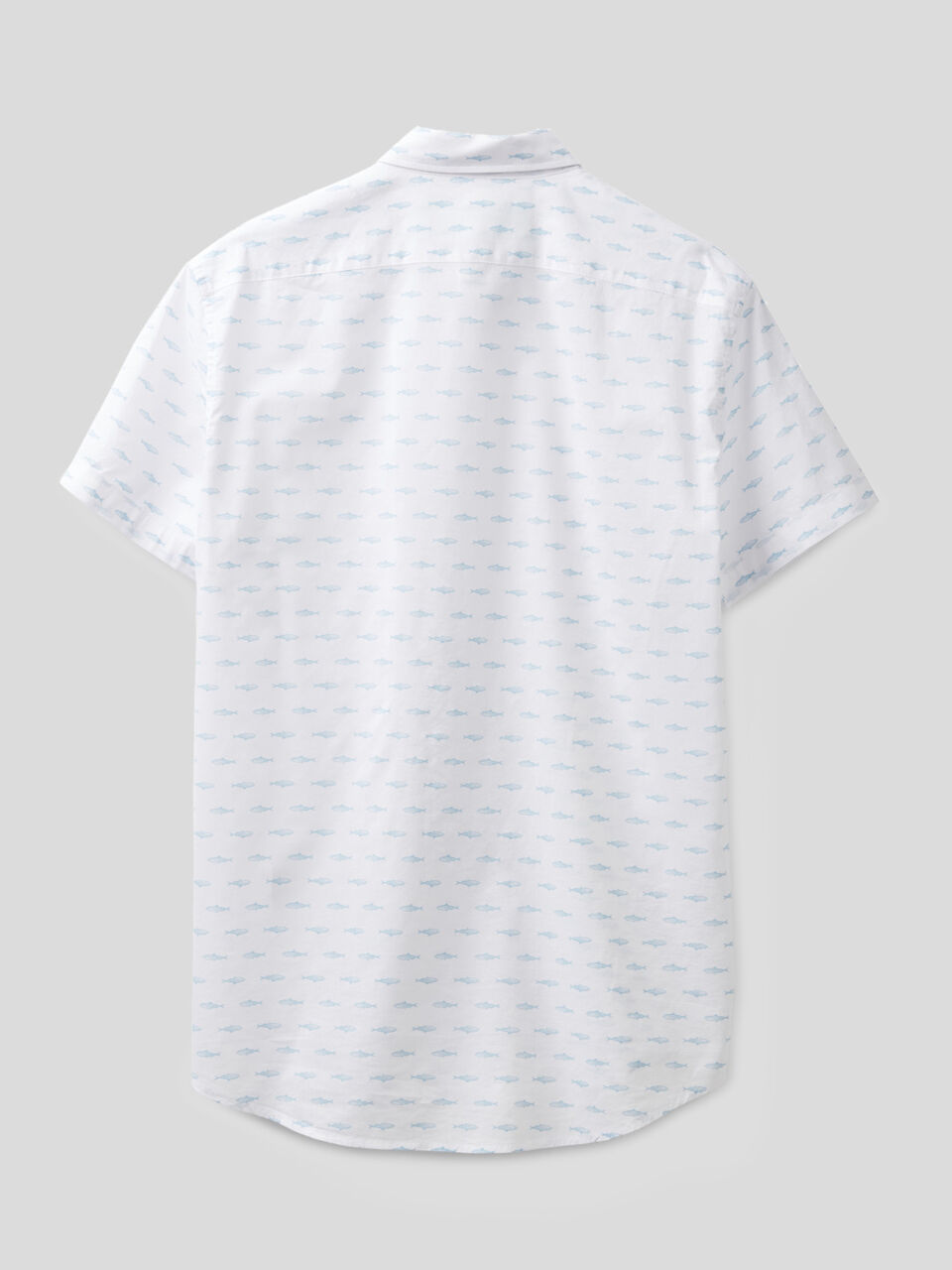 Chemise manches courtes coupe slim image number 2
