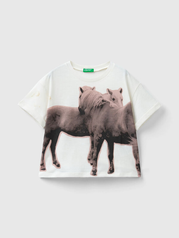 T-shirt con stampa fotografica cavalli Bambina