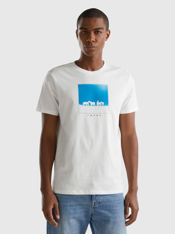 T-shirt regular fit con stampa Uomo