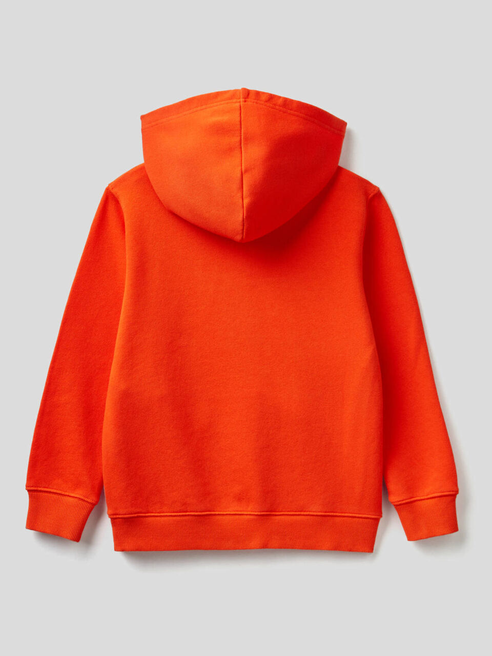 Sweatstoff in 100% Baumwolle mit Maxi-Print image number 2