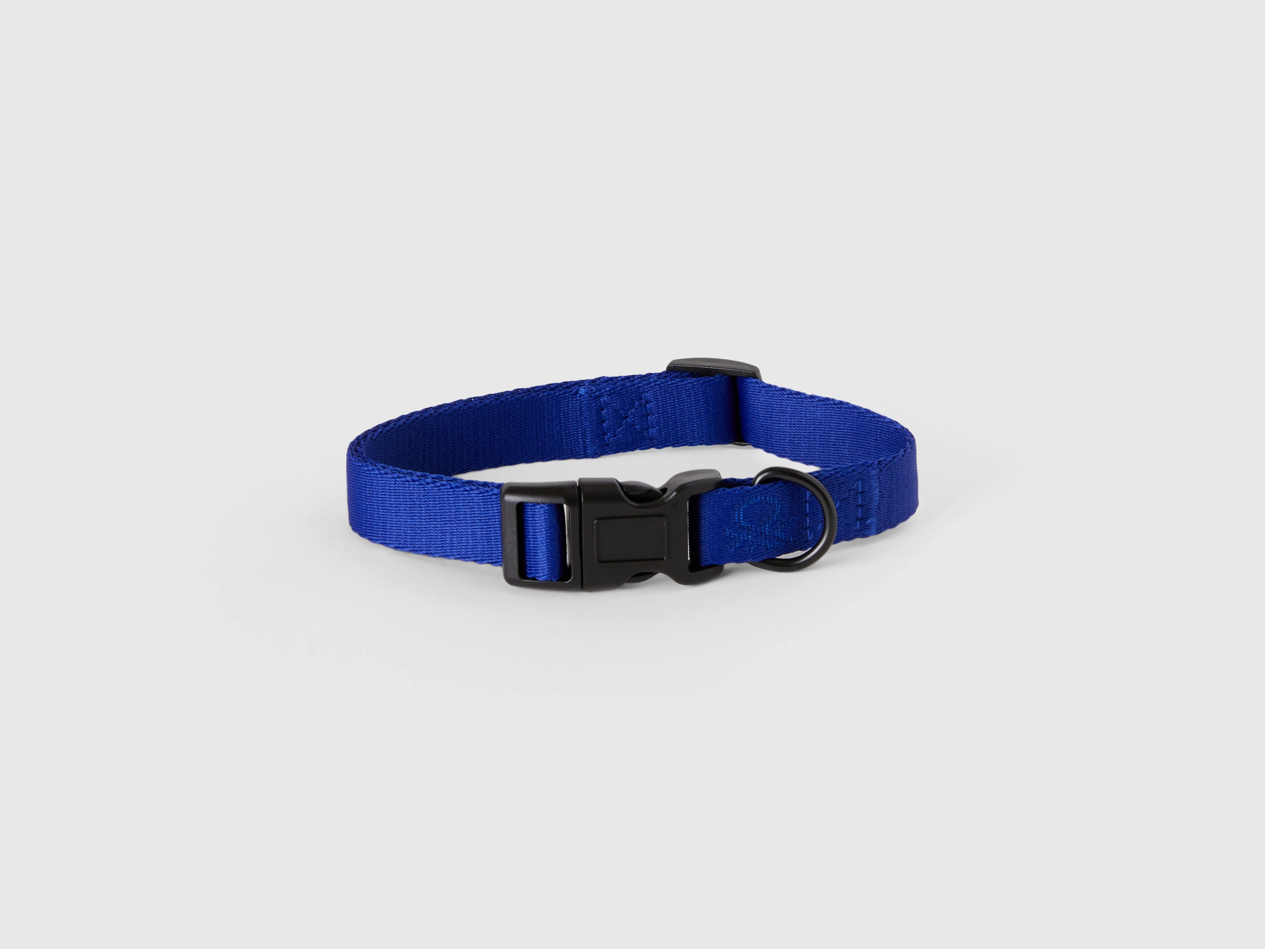 Guida alle idee regalo per cani Benetton